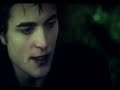 Twilight - Flightless Bird, American Mouth