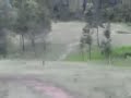 corolla jump corolla jump