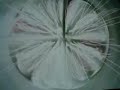 delerium - heaven's earth,
set to random vlc recorded visualizations.. haha..

once again.. sorry about vid quality..
butchered as always since wmm wont save stuff as anything else besides mpg.