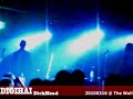 DIGIHAI - DickHead