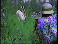 Pennsic 18 Woods Battle