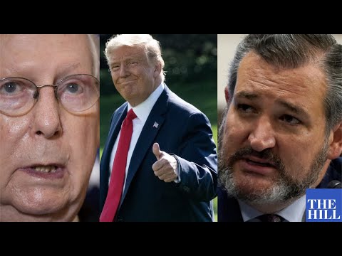 Republicans Aren’t Just Bad Losers — They’re Traitors to Democracy