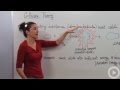 Collision Theory