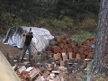 Firewood Processor