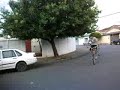rl limeira