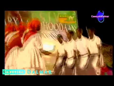 Dhaanto Cusub - Axmed Budul