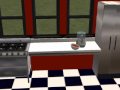 The Invisible Sim