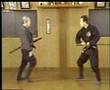 Masaaki Hatsumi - Takagiyoshin Ryu