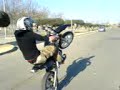 ritan 16 ralabi stunt