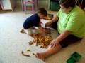 Logan and Sarah NET Lincon Logs