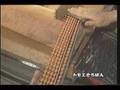 Ver Video