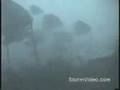 Hurricane video