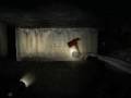 Penumbra black Plaque-What is the Fear you don't know?