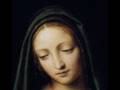 videos de Immaculate Mother