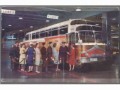 Seleccion de Buses Americanos