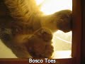 Bosco Toes