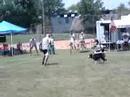 Bear and Chris - 2008 Skyhoundz NE Regionals