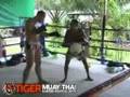 Muay Siam Trainer of the Month trains UFC vet Alan Belcher