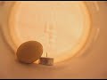 Clip: \"Seltsam\"