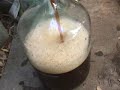 Beer Making, Part 5: Putting it to Bed
