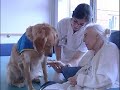 Hopital Bretonneau : lieu de soins, lieu de vies