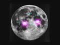WE LANDED ON THE MOON  #2 Reflectors