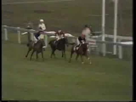 cheltenham gold cup