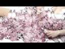 VIDEO CONTINUUM.flv VIDEO CONTINUUM.flv