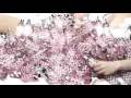 VIDEO CONTINUUM.flv