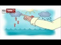 Caillou Türkce - Caillou Hikaye anlatiyor