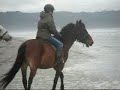 horseback riding on the beach