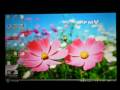 Loox U (Atom) NicoNico and Youtube