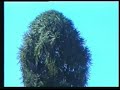 BOTANICAL GARDEN AT OOTY-2
