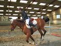 galpo 6 anais et king