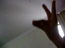 Coelhaoo ;P Coelhaoo ;P
