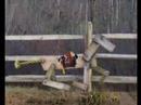 The Escape Of The Sawhorse The Escape Of The Sawhorse