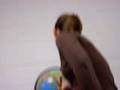 Leia Spins the Globe