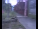 skatenica