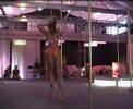 bobbis pole solo