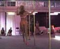 bobbis pole solo