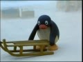 Pingu tobogganing