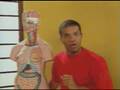 Novo Telecurso - Ensino Médio - Biologia - Aula 02 (1 de 2)