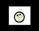 Cheesie's Oreo Moments