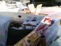 Prove di vela sul Trimarano 1/5