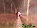chupacabra slow motion part 2