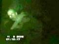 Chupacabra slow motion Part 2