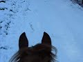 galop
