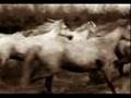 Lady Godiva