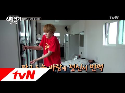 fooddiary 비 오는 아침! 태용이가 고장났어요(?) 180606 EP.2