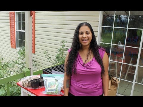 how to grow vegetables from seed